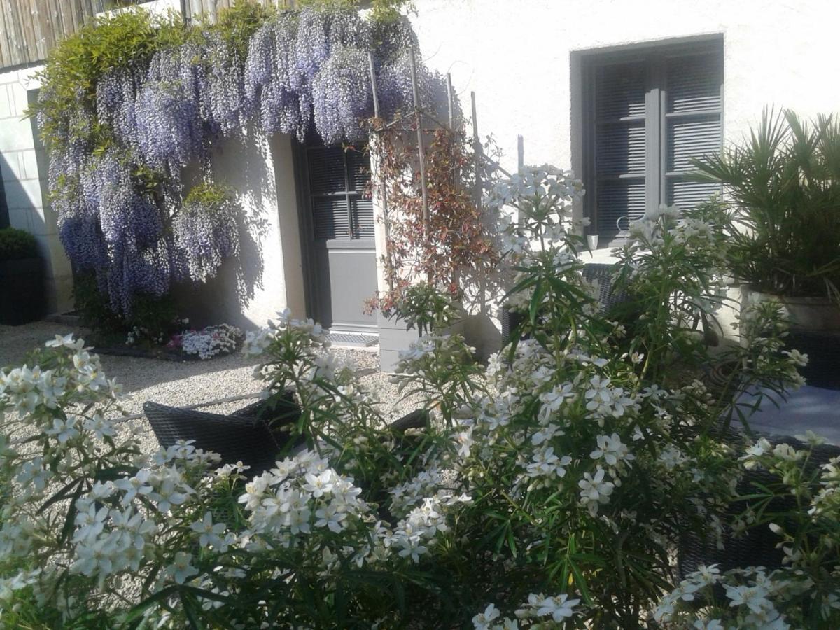 Chambres D'Hotes Rue Du Poids Bourgueil Exteriér fotografie